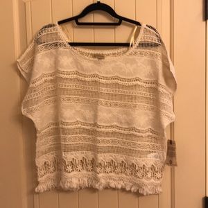 NWT Democracy Top